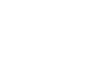 logo Noema blanco
