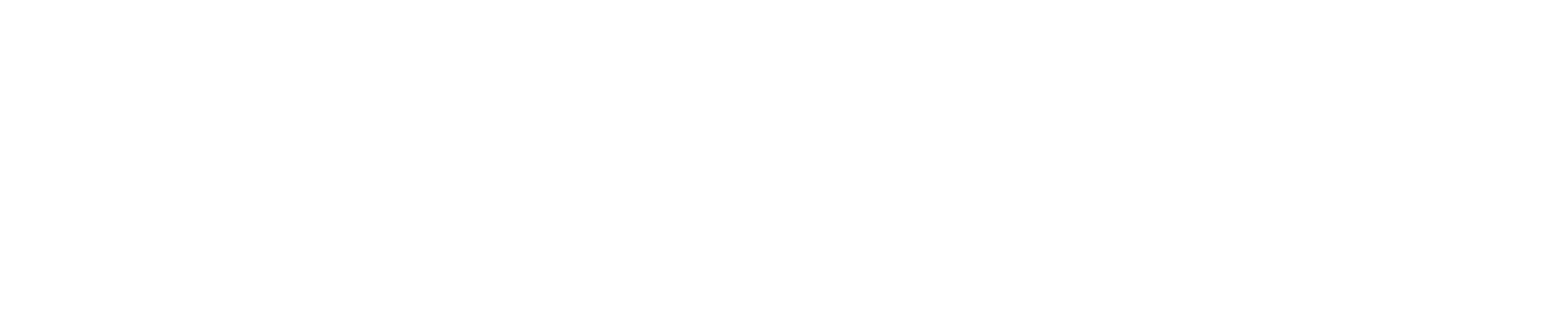 Logo Noema Blanco